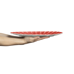 Framsida -Högtider kampanj oyster platter 35x30cm red 2